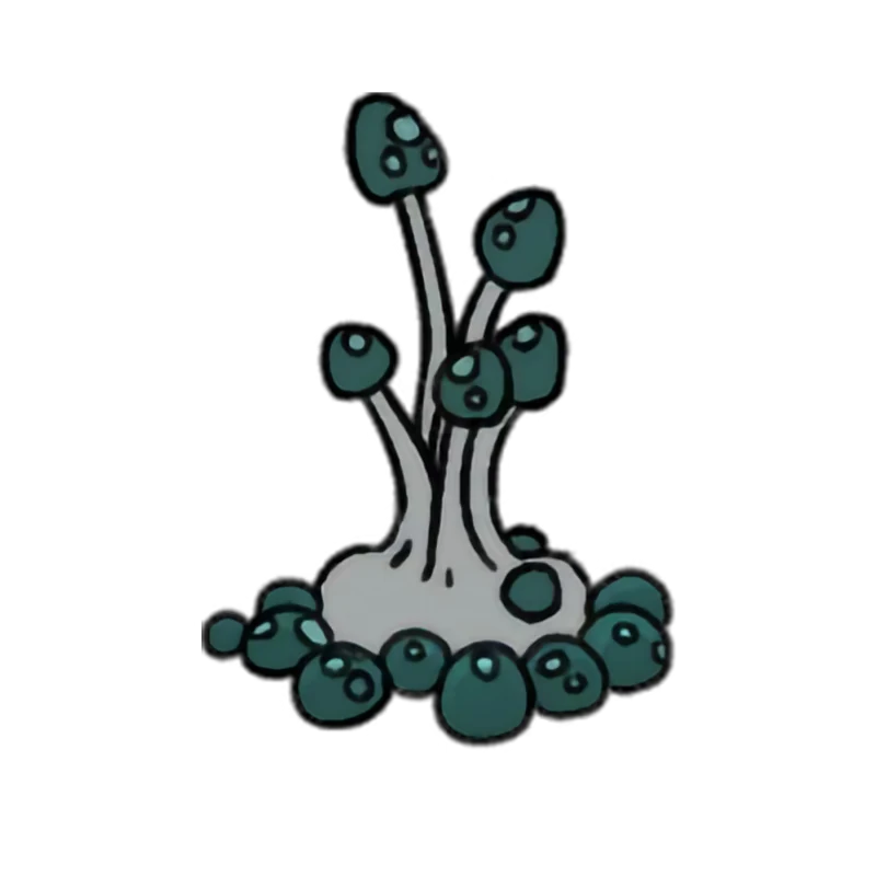 斯孢格