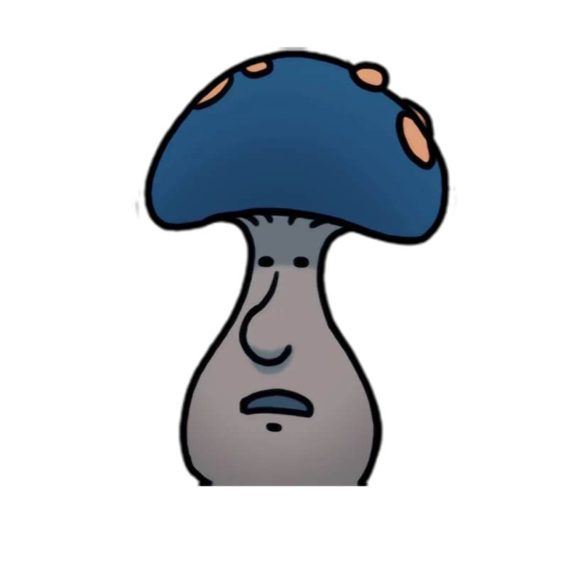 Mister Mushroom